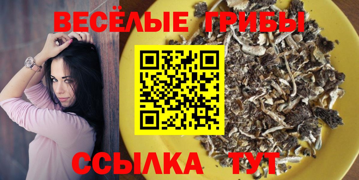 Псилоцибиновые грибы Magic Shrooms  наркошоп  Псков  Вход с VPN 