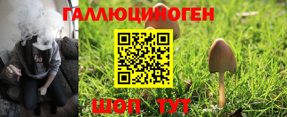 Галлюциногенные грибы мицелий Псков